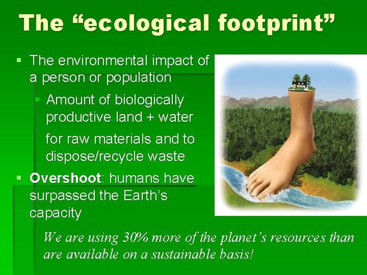 The “ecological footprint” § The environmental impact of a person or population § Amount