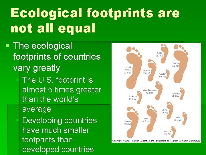 Ecological footprints are not all equal § The ecological footprints of countries vary greatly