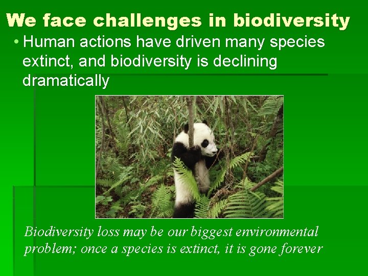 We face challenges in biodiversity • Human actions have driven many species extinct, and