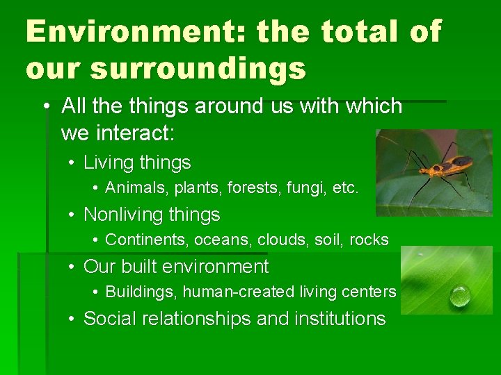 Environment: the total of our surroundings • All the things around us with which