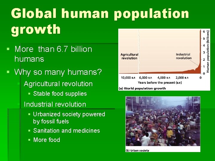 Global human population growth § More than 6. 7 billion humans § Why so