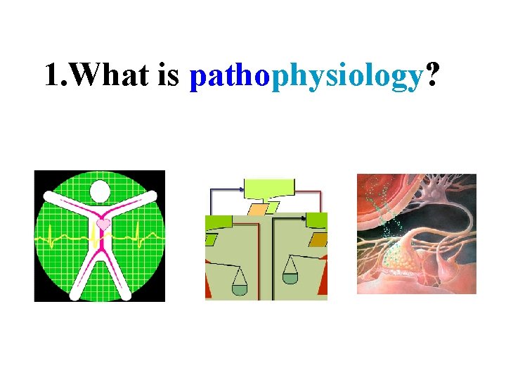 1. What is pathophysiology? 