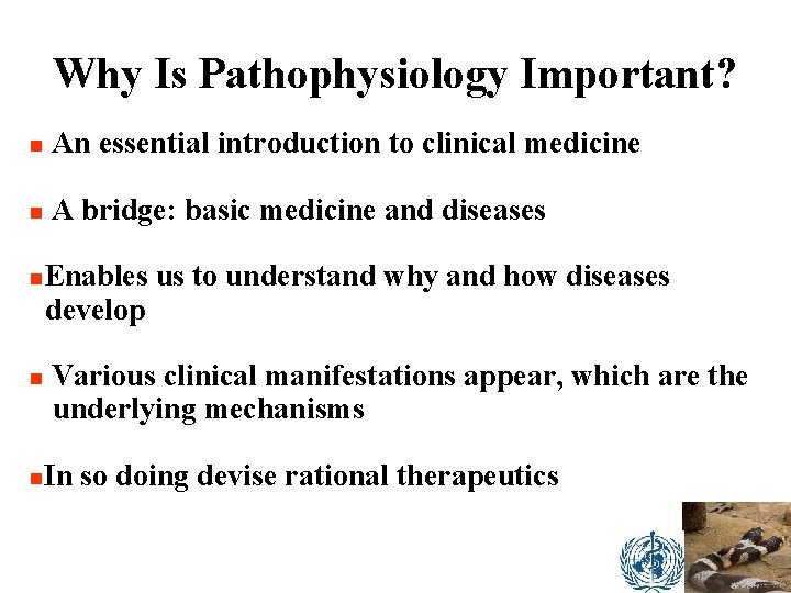 Why Is Pathophysiology Important? n An essential introduction to clinical medicine n A bridge: