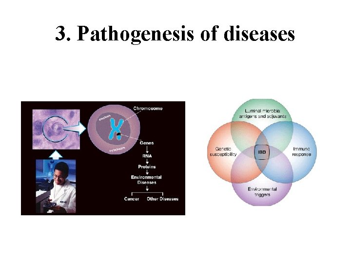 3. Pathogenesis of diseases 
