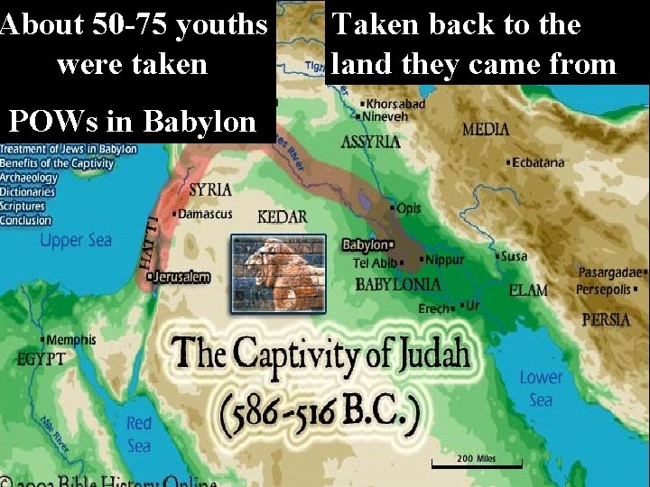About 50 -75 youths were taken POWs in Babylon Taken back to the land