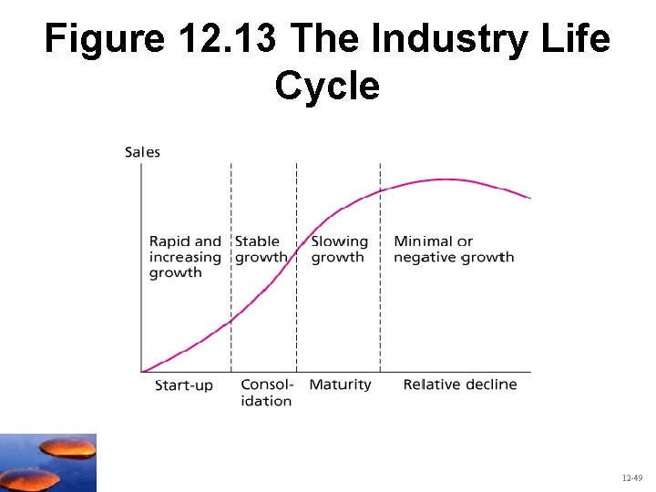 Figure 12. 13 The Industry Life Cycle 12 -49 