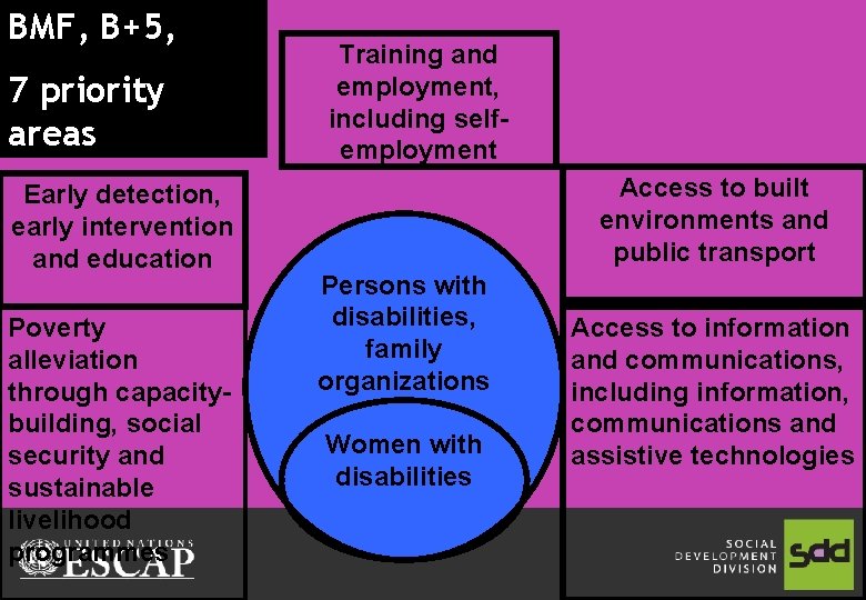 BMF, B+5, 7 priority areas Early detection, early intervention and education Poverty alleviation through