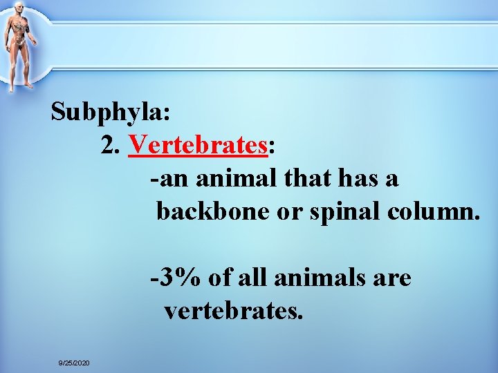 Subphyla: 2. Vertebrates: -an animal that has a backbone or spinal column. -3% of Subphyla: 2. Vertebrates: -an animal that has a backbone or spinal column. -3% of