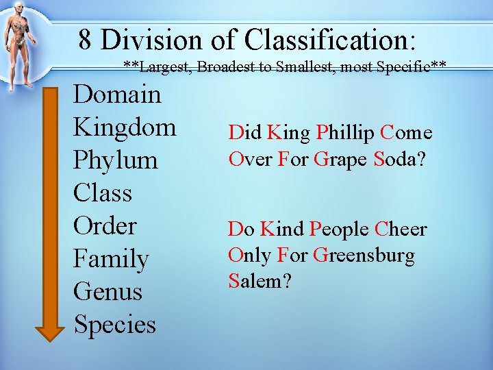 8 Division of Classification: **Largest, Broadest to Smallest, most Specific** Domain Kingdom Phylum Class 8 Division of Classification: **Largest, Broadest to Smallest, most Specific** Domain Kingdom Phylum Class