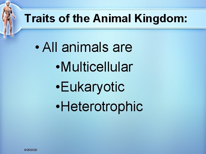 Traits of the Animal Kingdom: • All animals are • Multicellular • Eukaryotic •