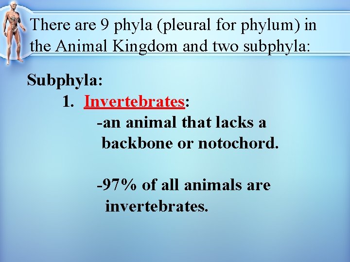 There are 9 phyla (pleural for phylum) in the Animal Kingdom and two subphyla: