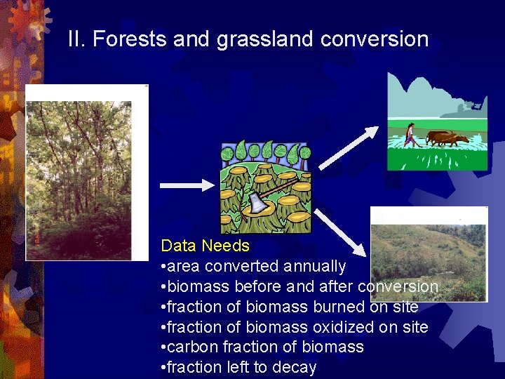 II. Forests and grassland conversion Data Needs • area converted annually • biomass before