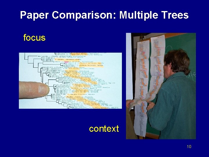 Paper Comparison: Multiple Trees focus context 10 