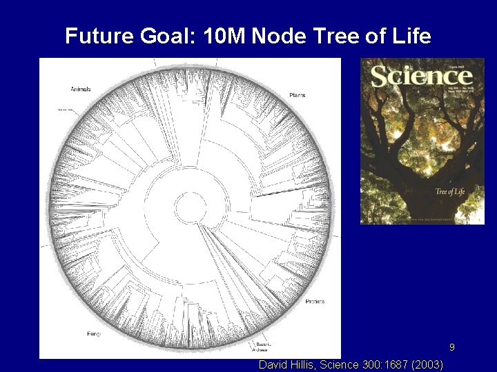 Future Goal: 10 M Node Tree of Life 9 David Hillis, Science 300: 1687