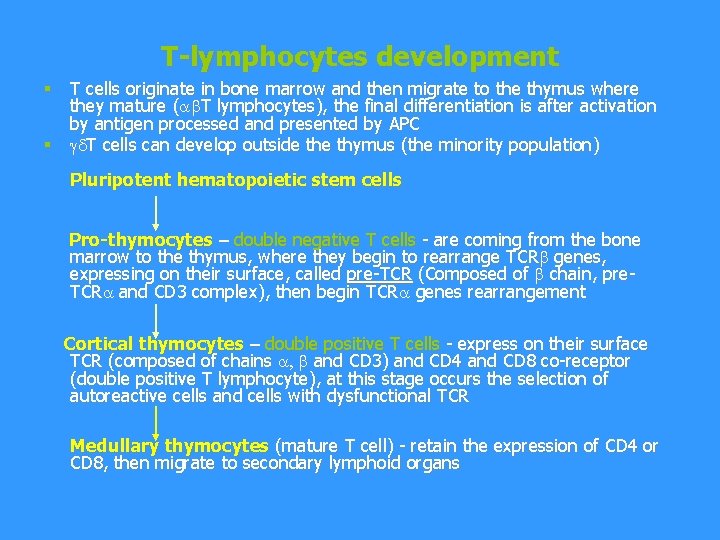 T-lymphocytes development § T cells originate in bone marrow and then migrate to the