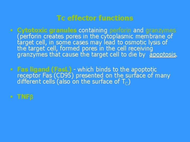 Tc effector functions § Cytotoxic granules containing perforin and granzymes (perforin creates pores in