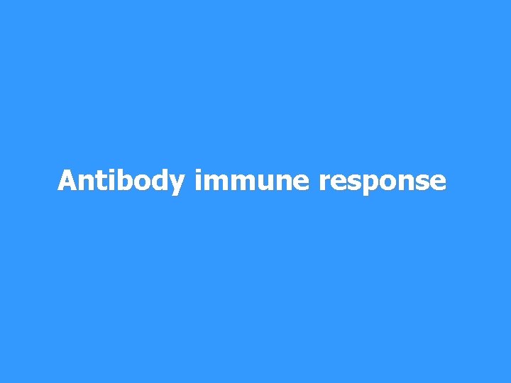 Antibody immune response 