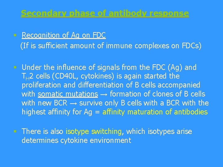 Secondary phase of antibody response § Recognition of Ag on FDC (If is sufficient