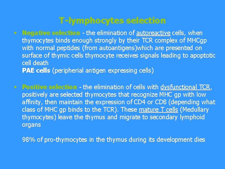 T-lymphocytes selection § Negative selection - the elimination of autoreactive cells, when thymocytes binds