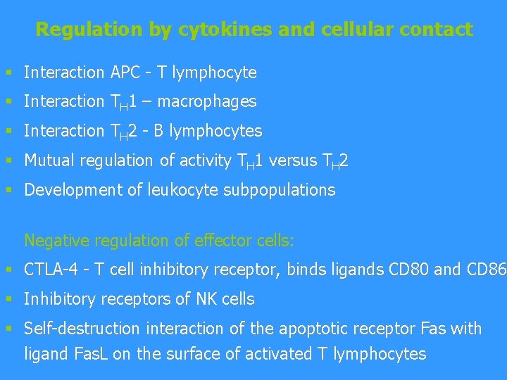 Regulation by cytokines and cellular contact § Interaction APC - T lymphocyte § Interaction