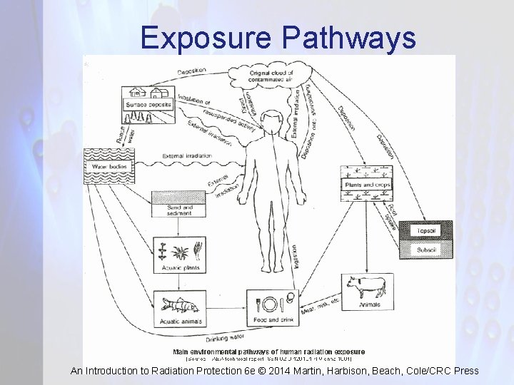 Exposure Pathways An Introduction to Radiation Protection 6 e © 2014 Martin, Harbison, Beach,