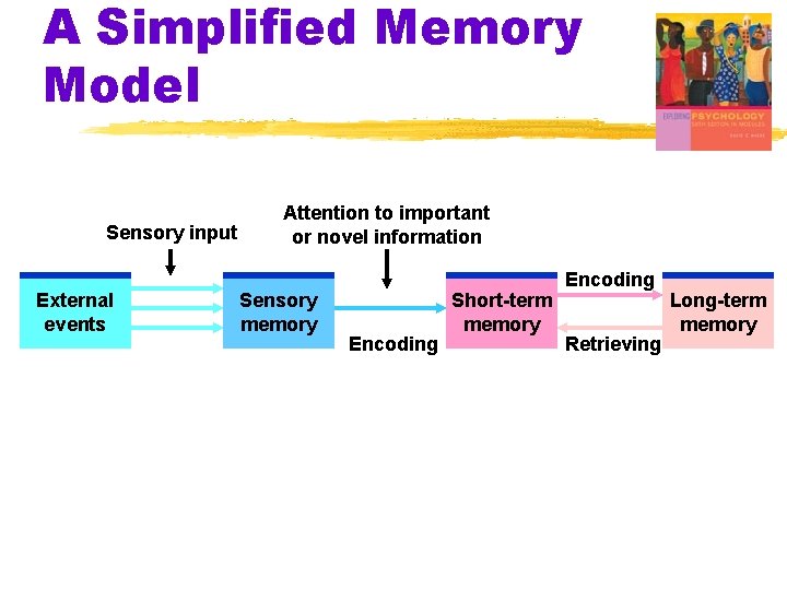 A Simplified Memory Model Sensory input External events Attention to important or novel information