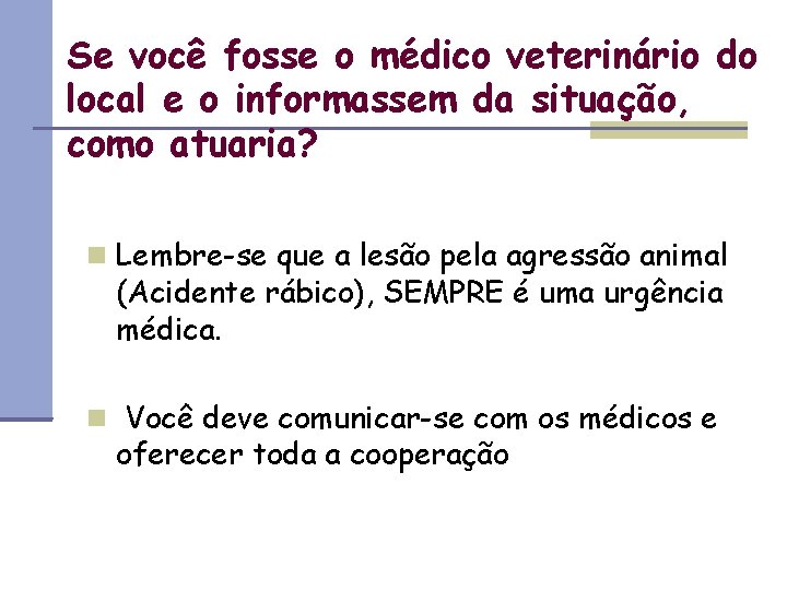 Se você fosse o médico veterinário do local e o informassem da situação, como