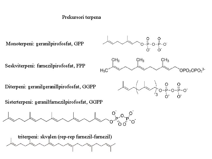 Prekursori terpena Monoterpeni: geranilpirofosfat, GPP Seskviterpeni: farnezilpirofosfat, FPP Diterpeni: geranillpirofosfat, GGPP Sisterterpeni: geranilfarnezilpirofosfat, GGPP