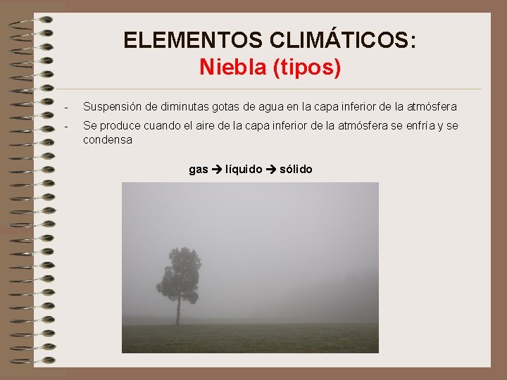 ELEMENTOS CLIMÁTICOS: Niebla (tipos) - Suspensión de diminutas gotas de agua en la capa