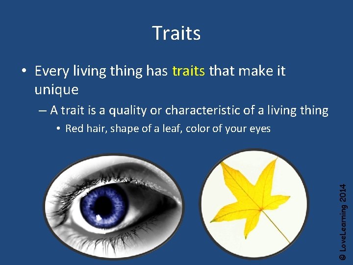 Traits • Every living thing has traits that make it unique – A trait