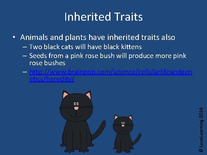 Inherited Traits • Animals and plants have inherited traits also © Love. Learning 2014