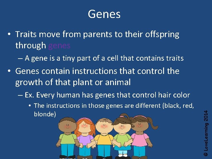 Genes • Traits move from parents to their offspring through genes – A gene