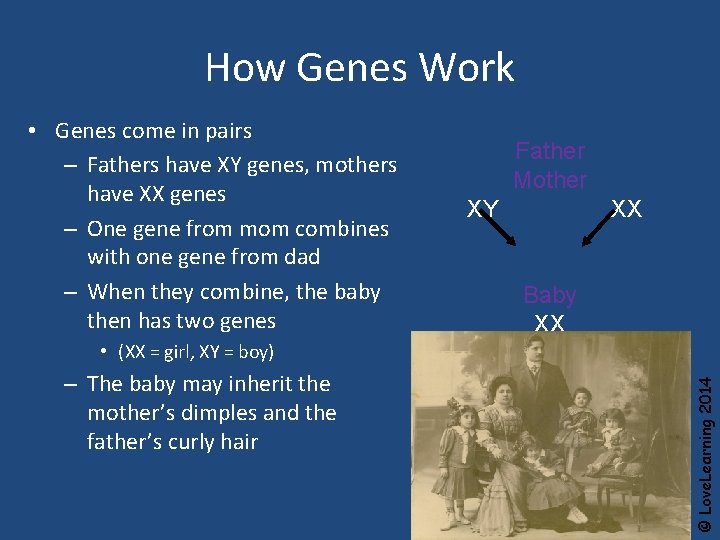 How Genes Work • Genes come in pairs – Fathers have XY genes, mothers