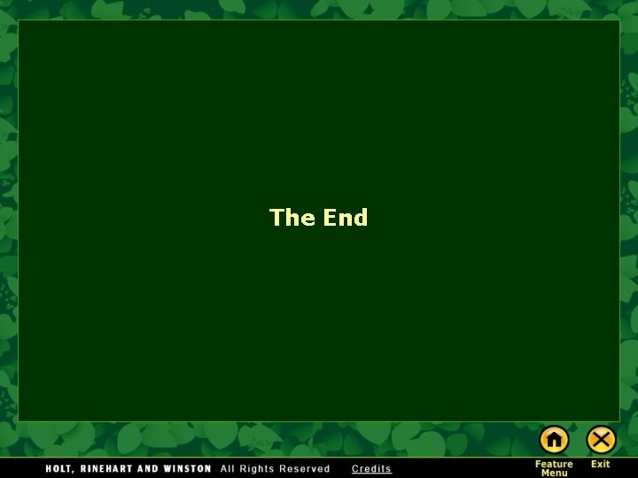 The End 