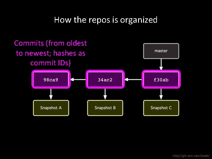 How the repos is organized Commits (from oldest to newest; hashes as commit IDs)