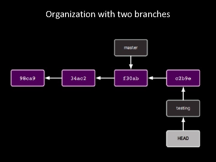 Organization with two branches 