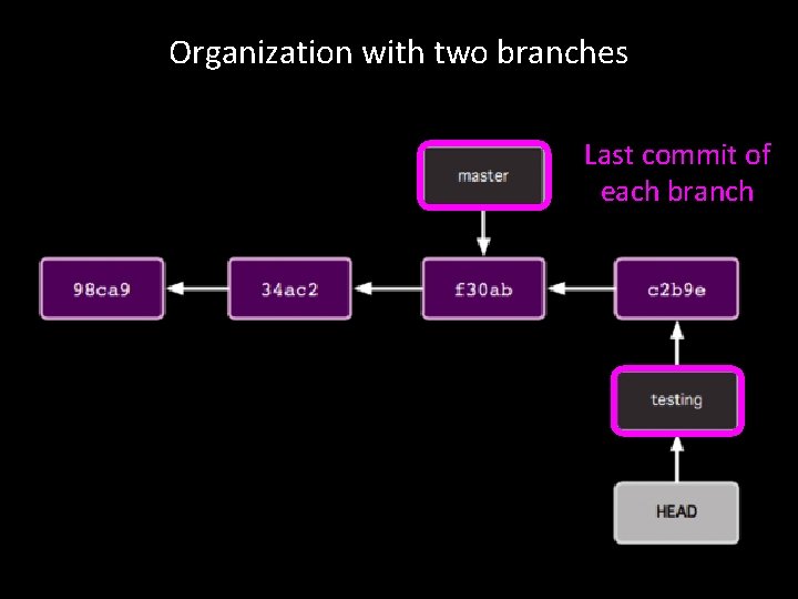 Organization with two branches Last commit of each branch 