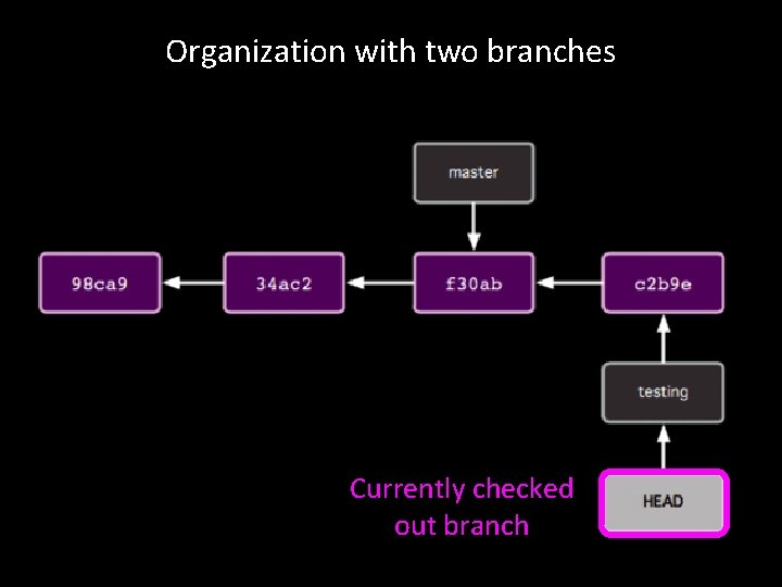 Organization with two branches Currently checked out branch 