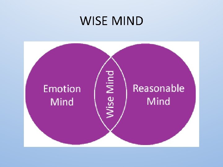 WISE MIND 