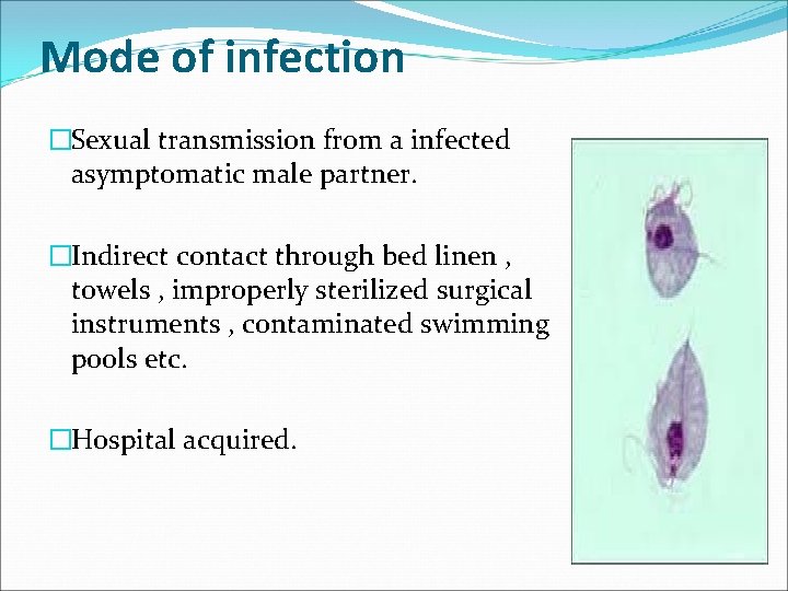 Mode of infection �Sexual transmission from a infected asymptomatic male partner. �Indirect contact through