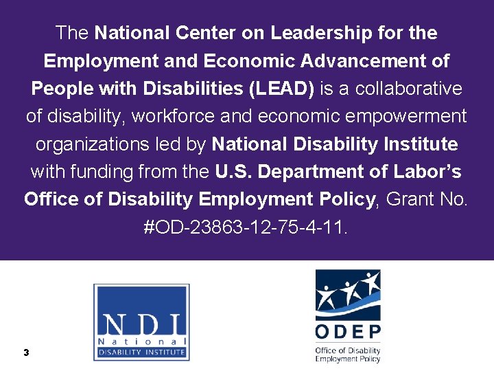 The National Center on Leadership for the Employment and Economic Advancement of People with