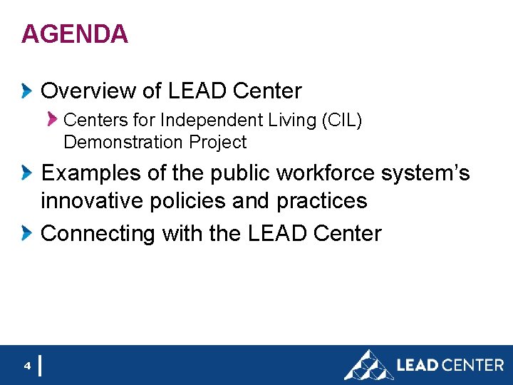 AGENDA Overview of LEAD Centers for Independent Living (CIL) Demonstration Project Examples of the