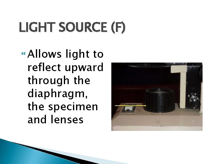 LIGHT SOURCE (F) Allows light to reflect upward through the diaphragm, the specimen and