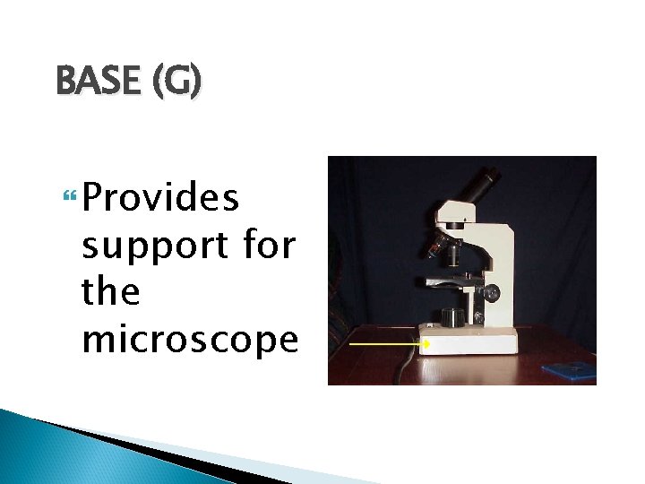 BASE (G) Provides support for the microscope 