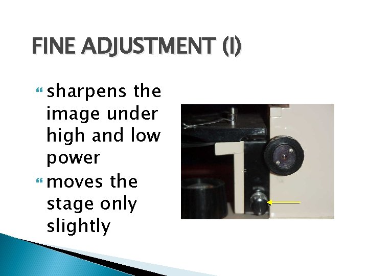 FINE ADJUSTMENT (I) sharpens the image under high and low power moves the stage