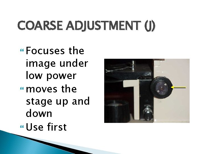 COARSE ADJUSTMENT (J) Focuses the image under low power moves the stage up and