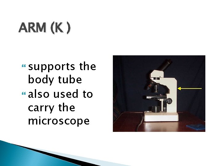 ARM (K ) supports the body tube also used to carry the microscope 