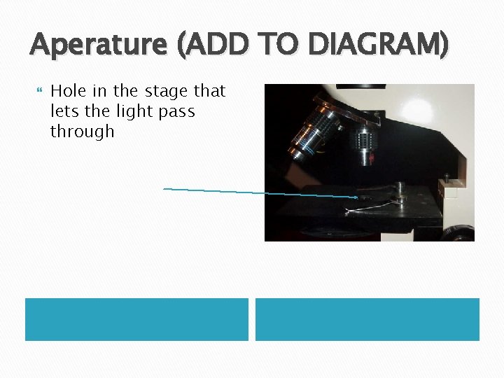 Aperature (ADD TO DIAGRAM) Hole in the stage that lets the light pass through