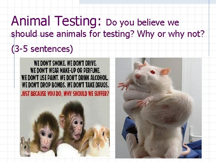 Animal Testing: Do you believe we should use animals for testing? Why or why