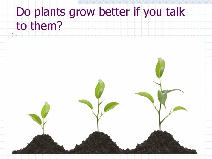 Do plants grow better if you talk to them? 